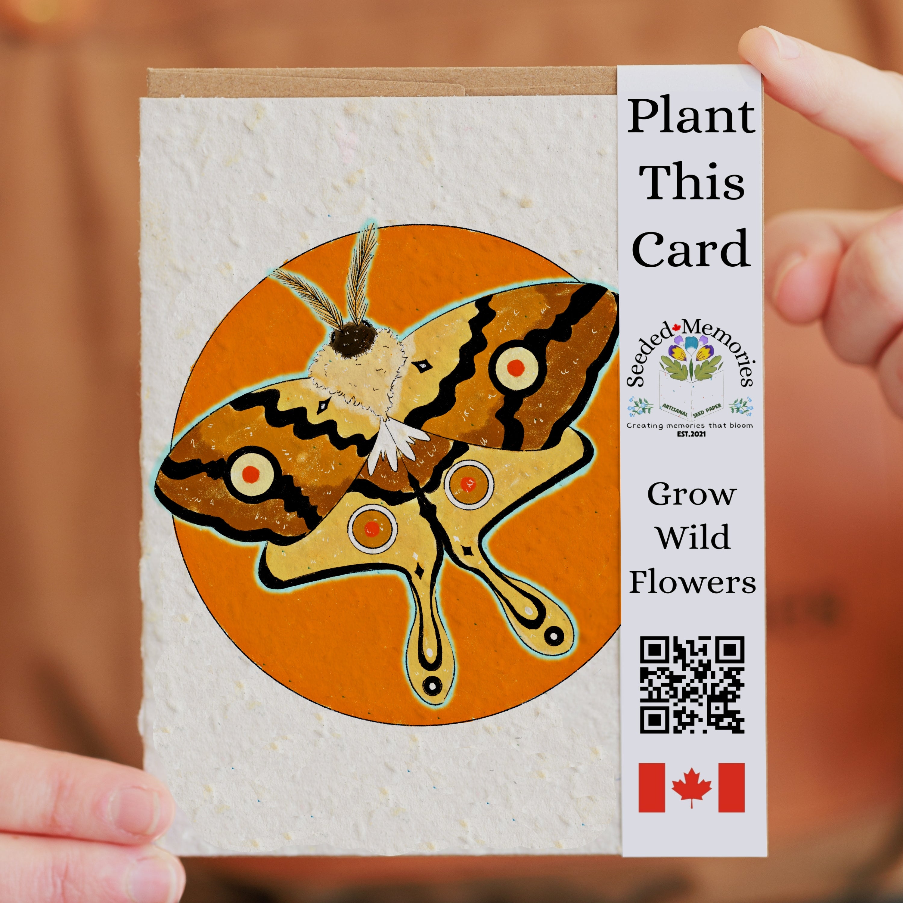 The Moth and the Sun - Nature Card