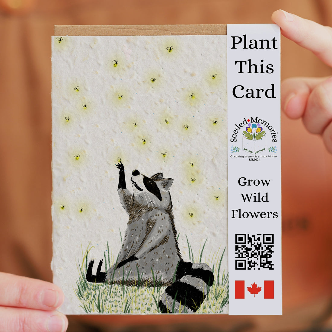 Racoon and Fireflies - Nature Card