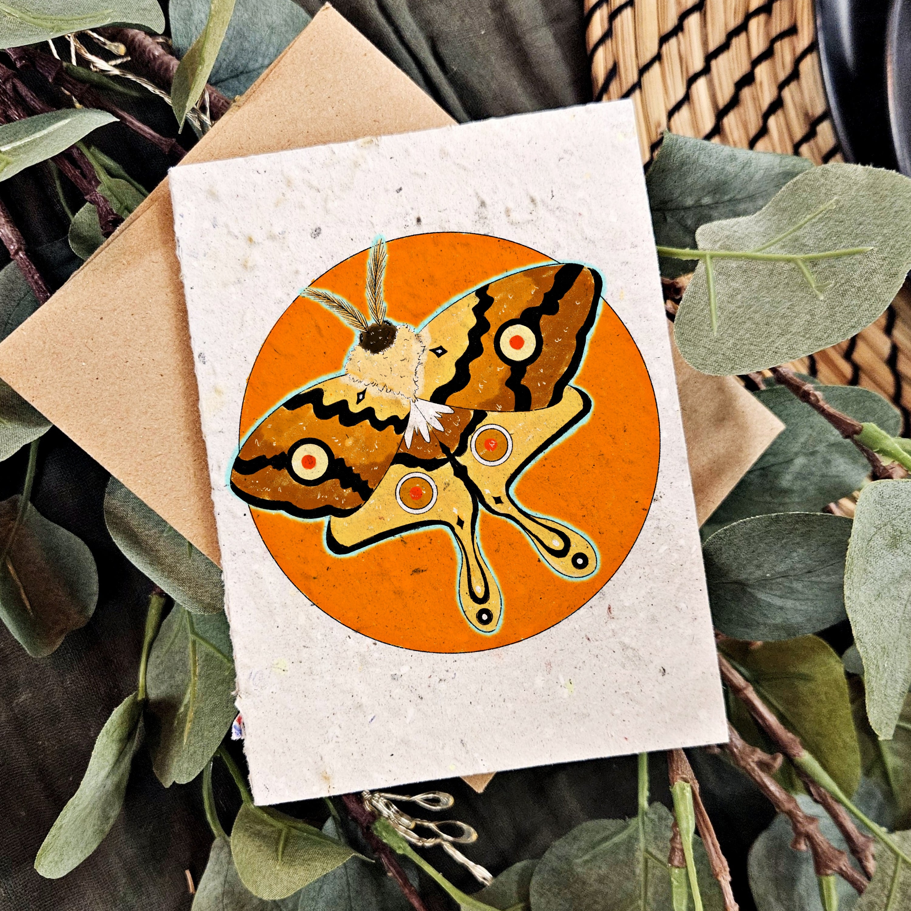 The Moth and the Sun - Nature Card