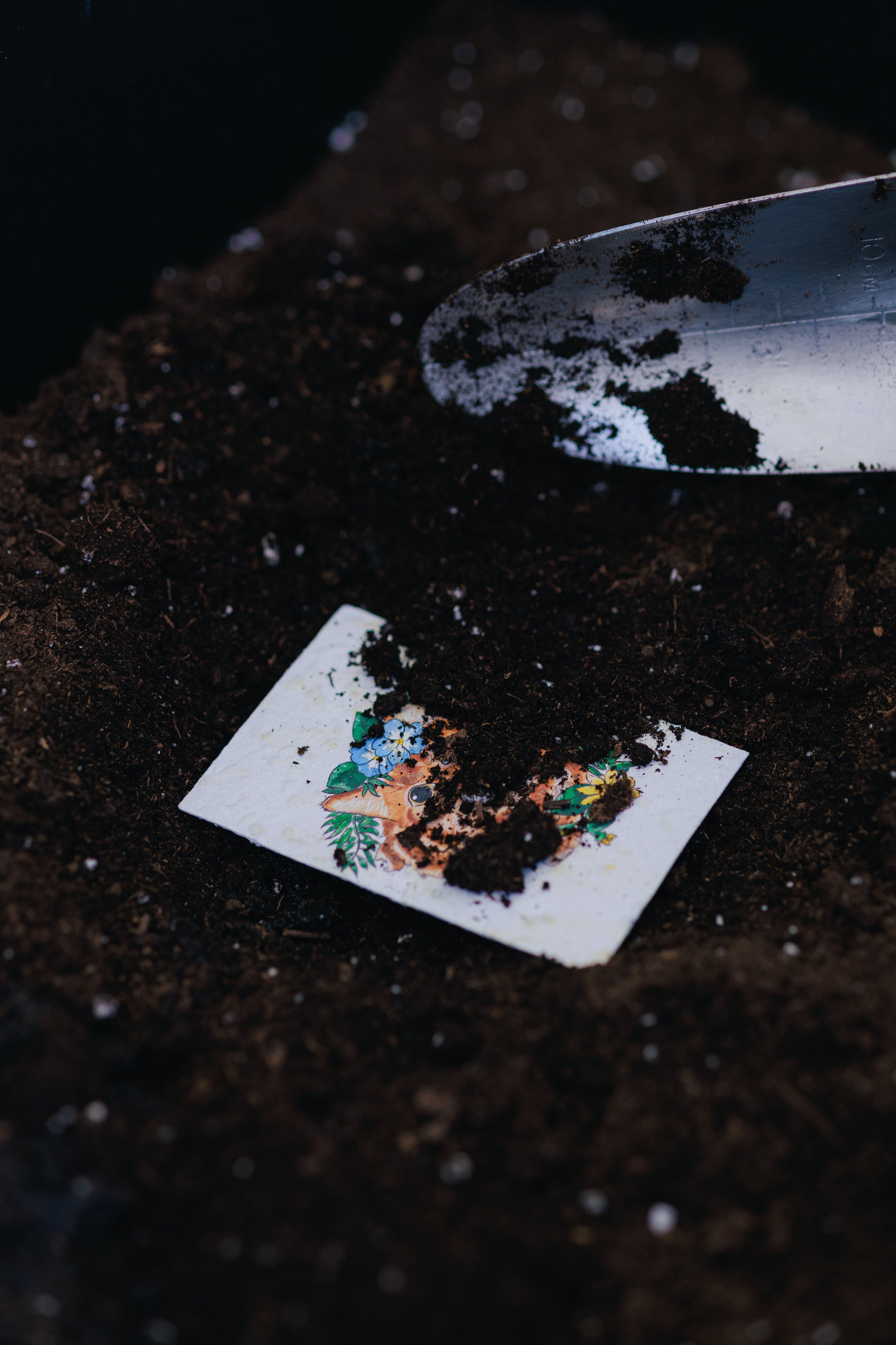 Mini Card - In loving memory