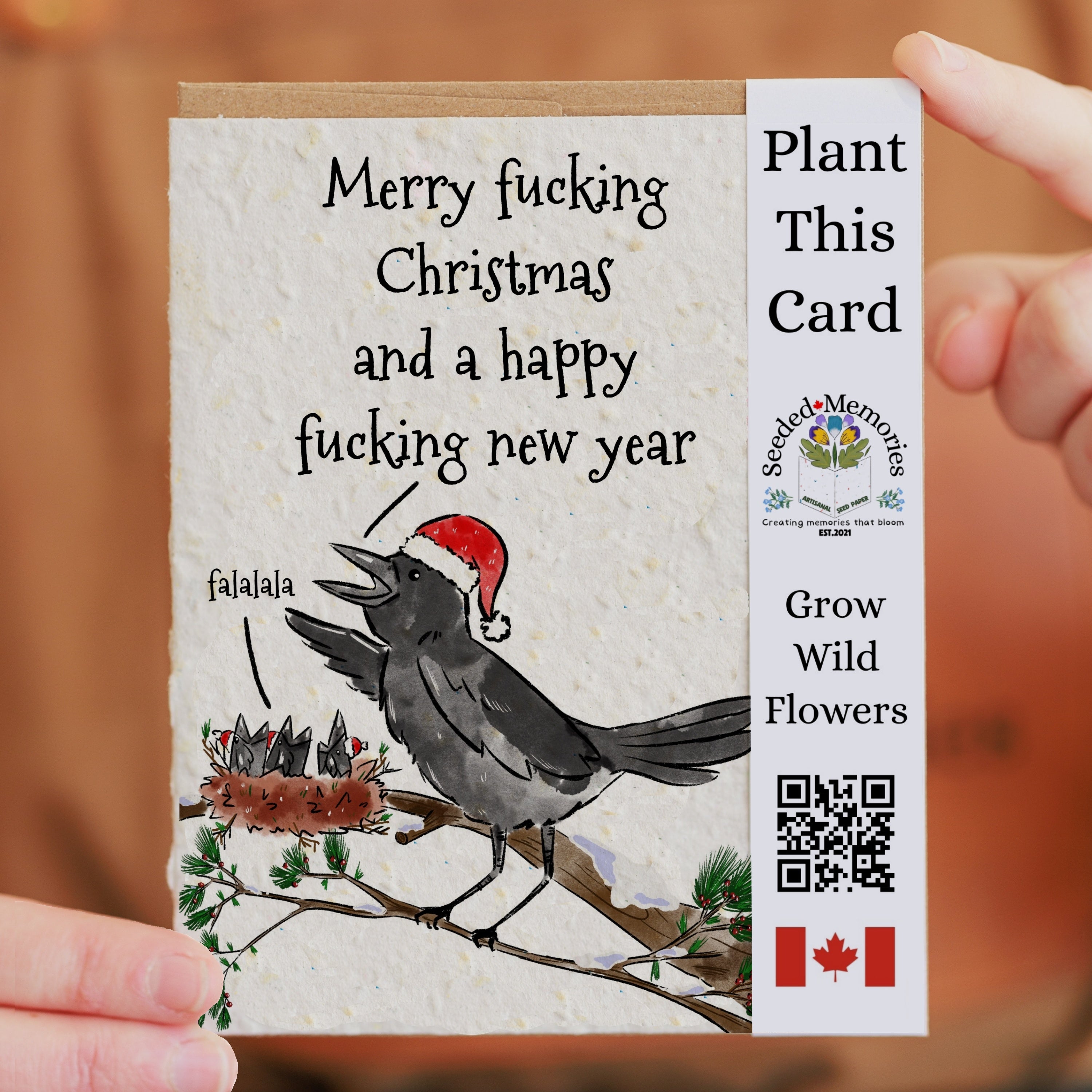 Christmas - Merry Christmas and a happy Fucking new year