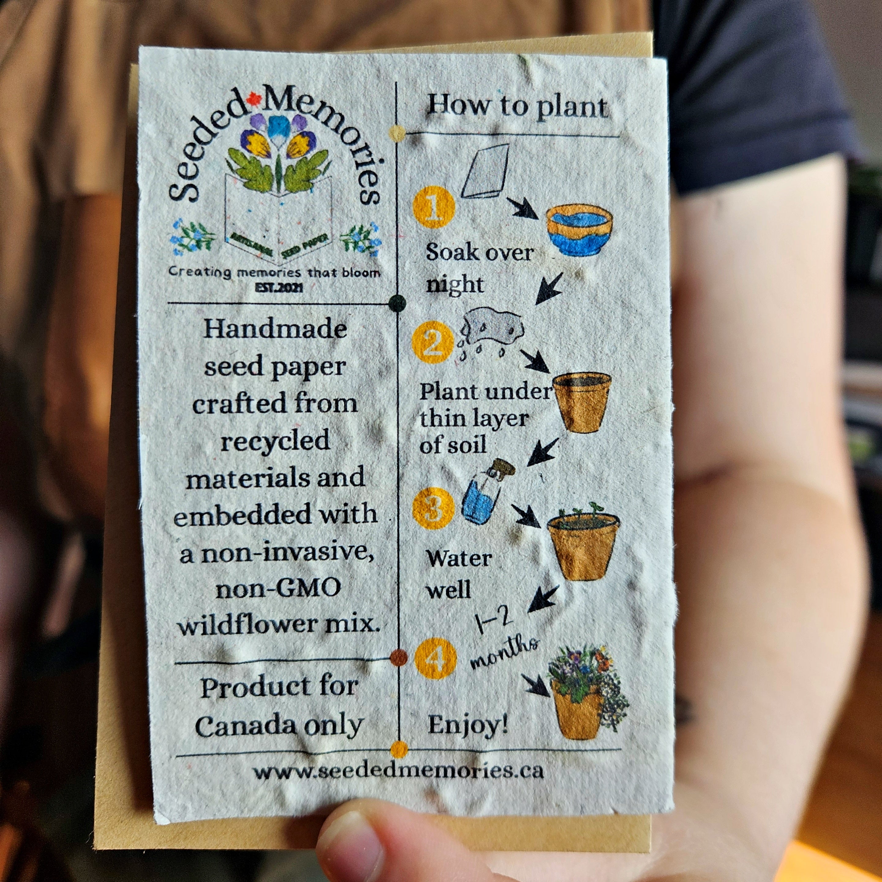 Mini Card - Summer Terrarium