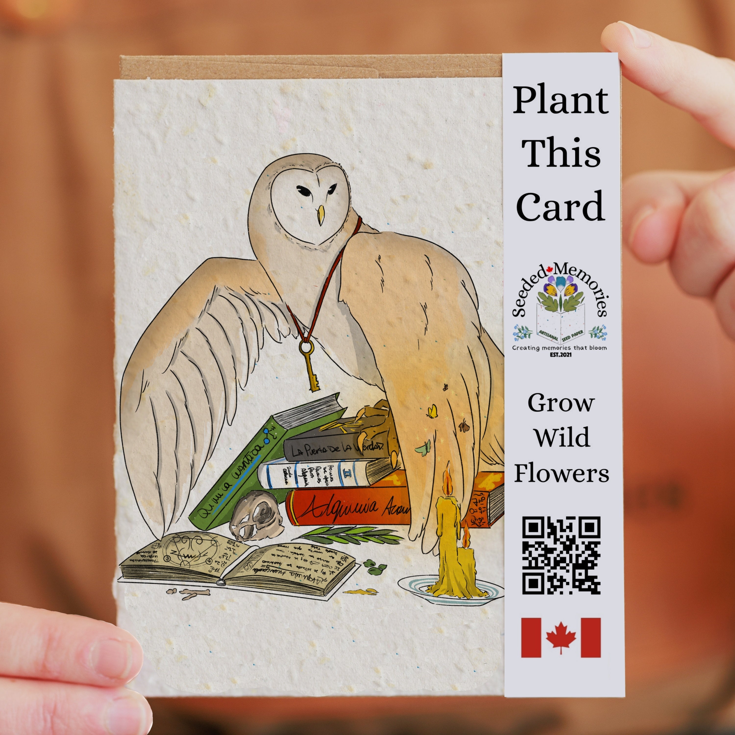 Nature & Wildlife - The Alchemist Owl