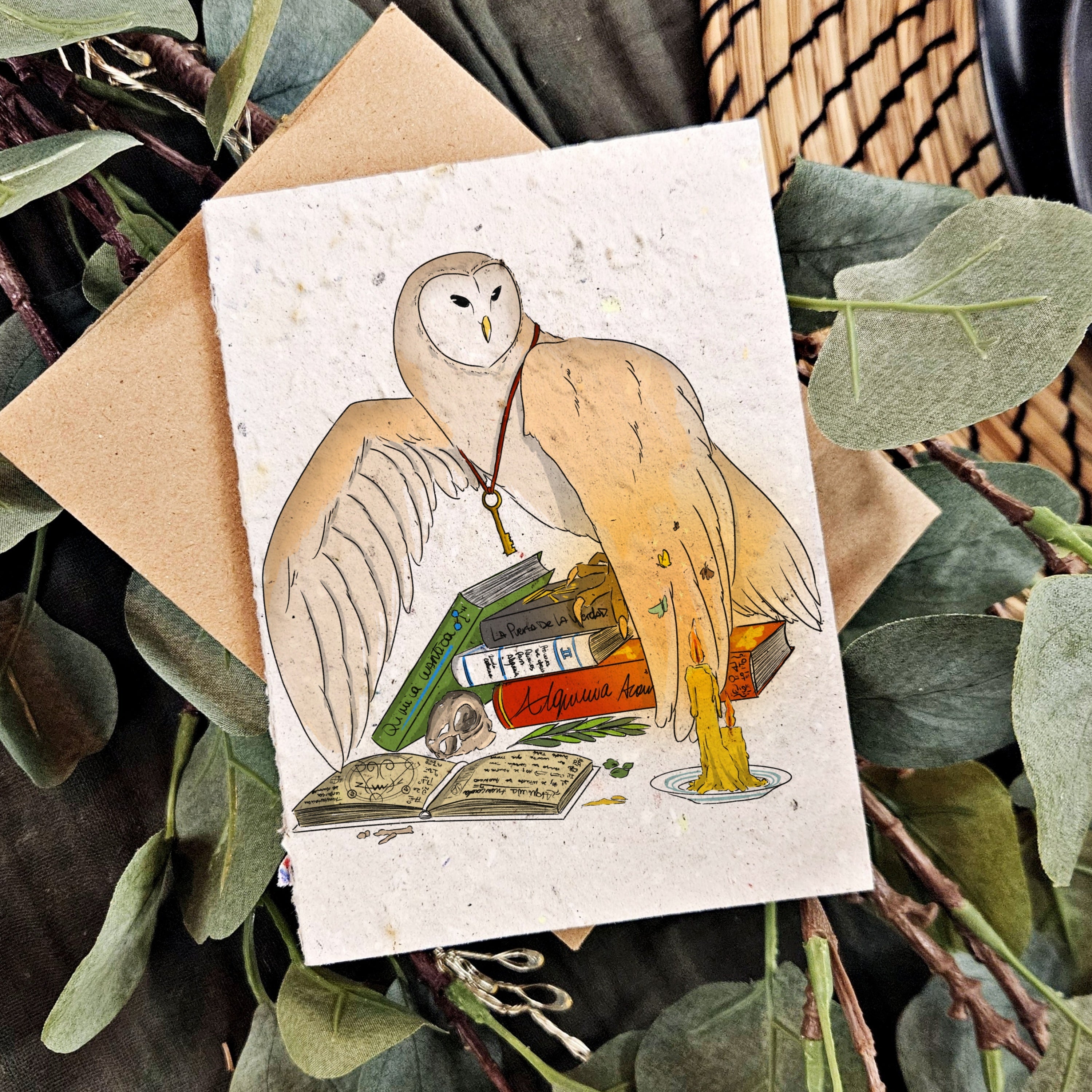 Nature & Wildlife - The Alchemist Owl