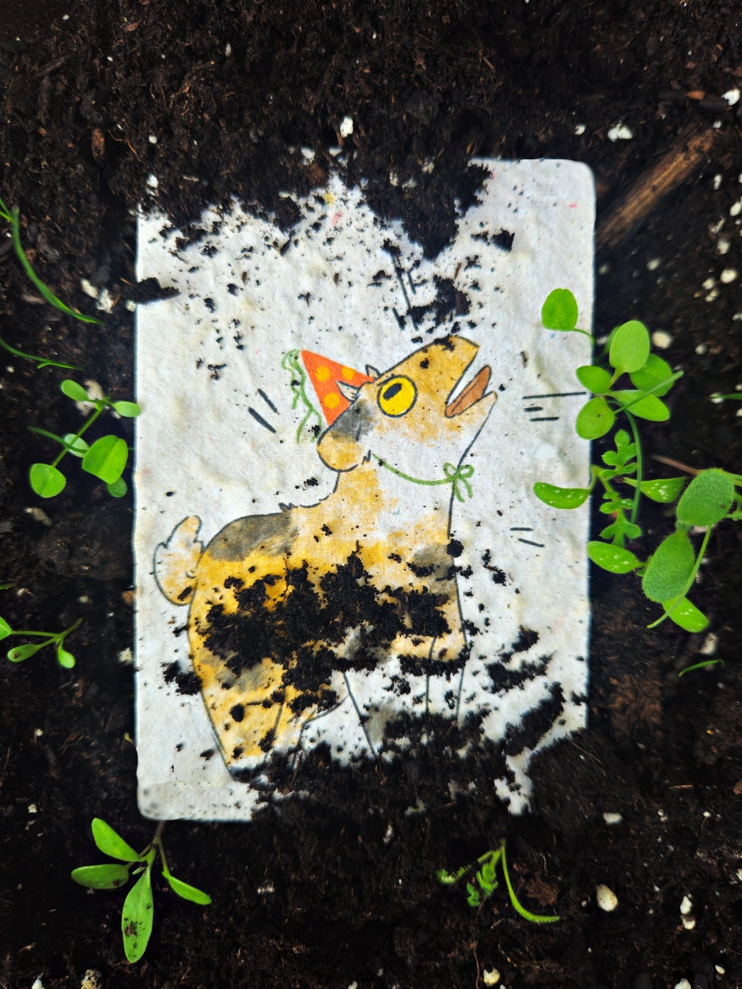 Mini Card - Let the butterflies guide you