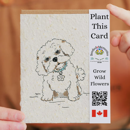 Fluffy - Dog Card