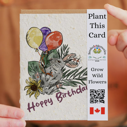 Hoppy - Birthday Card
