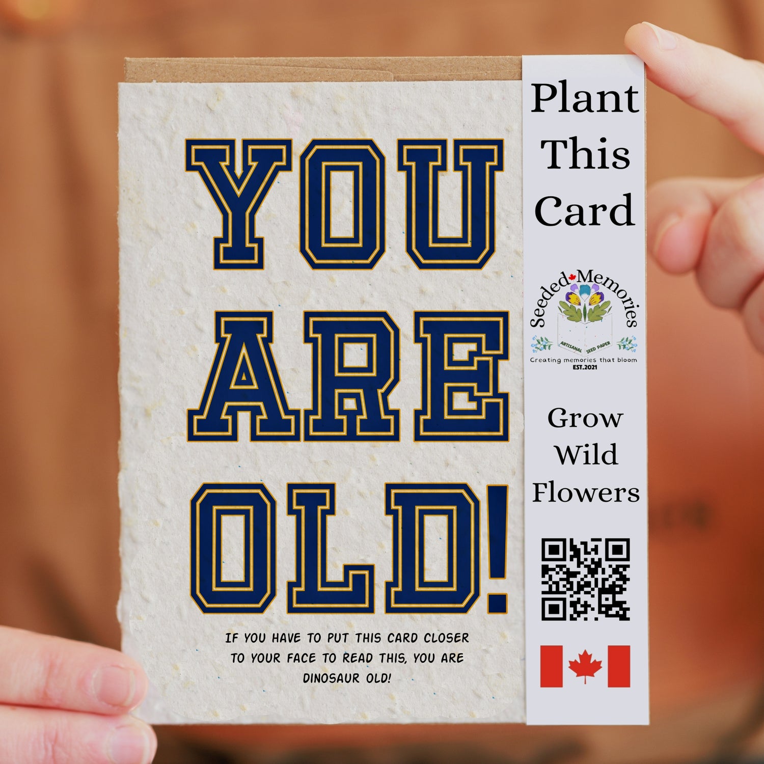 You Are Old - Birthday Card