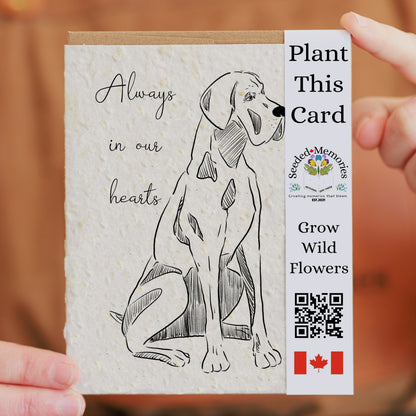 Dog Sympathy Card - Always in Our Hearts
