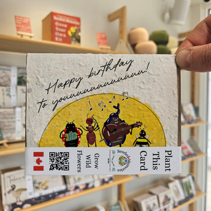 Serenade - Birthday Card