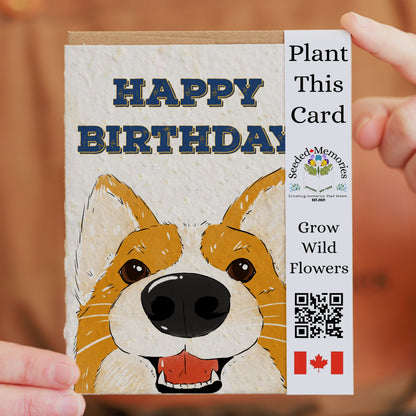 Corgi Love - Birthday Card