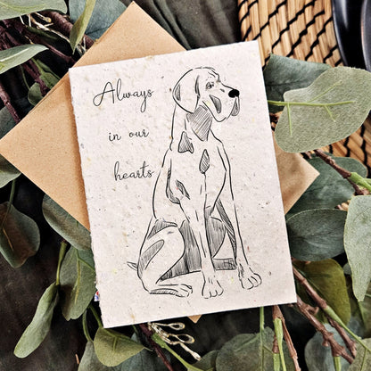 Dog Sympathy Card - Always in Our Hearts