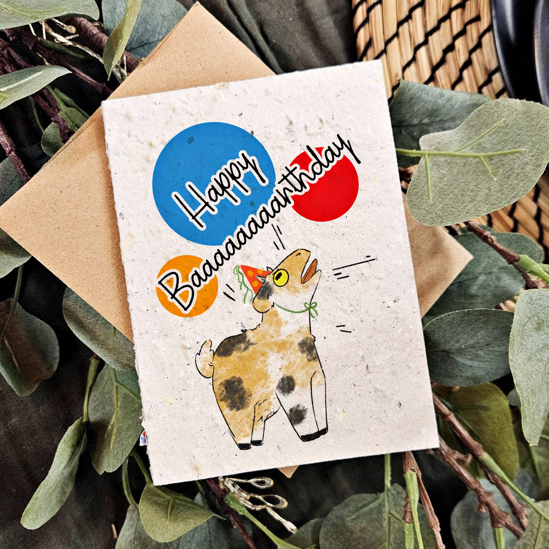 Birthday goat!