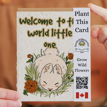 Babies &amp; babyshowers - Welcome to the world little one