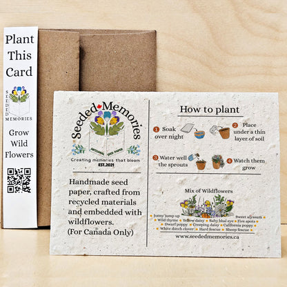 Congratulations Diploma - Graduation Card