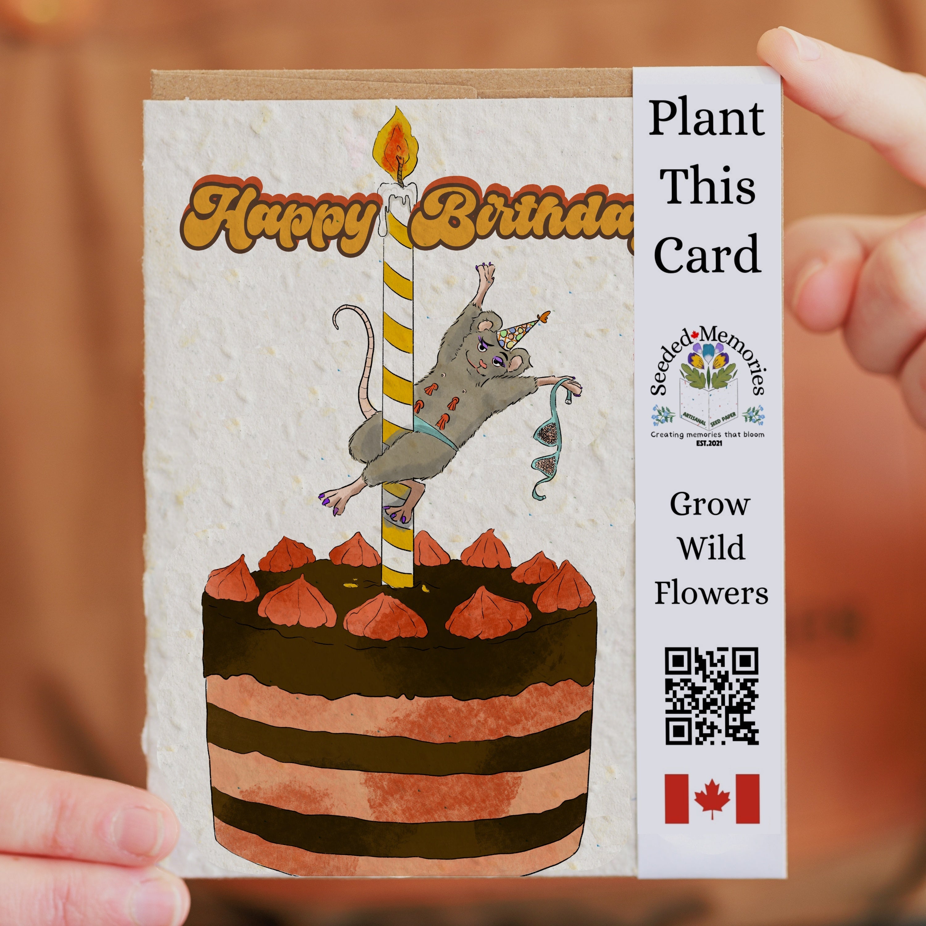 Birthday - Pole Dance