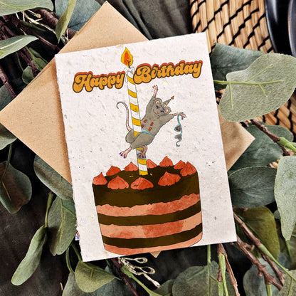 Birthday - Pole Dance