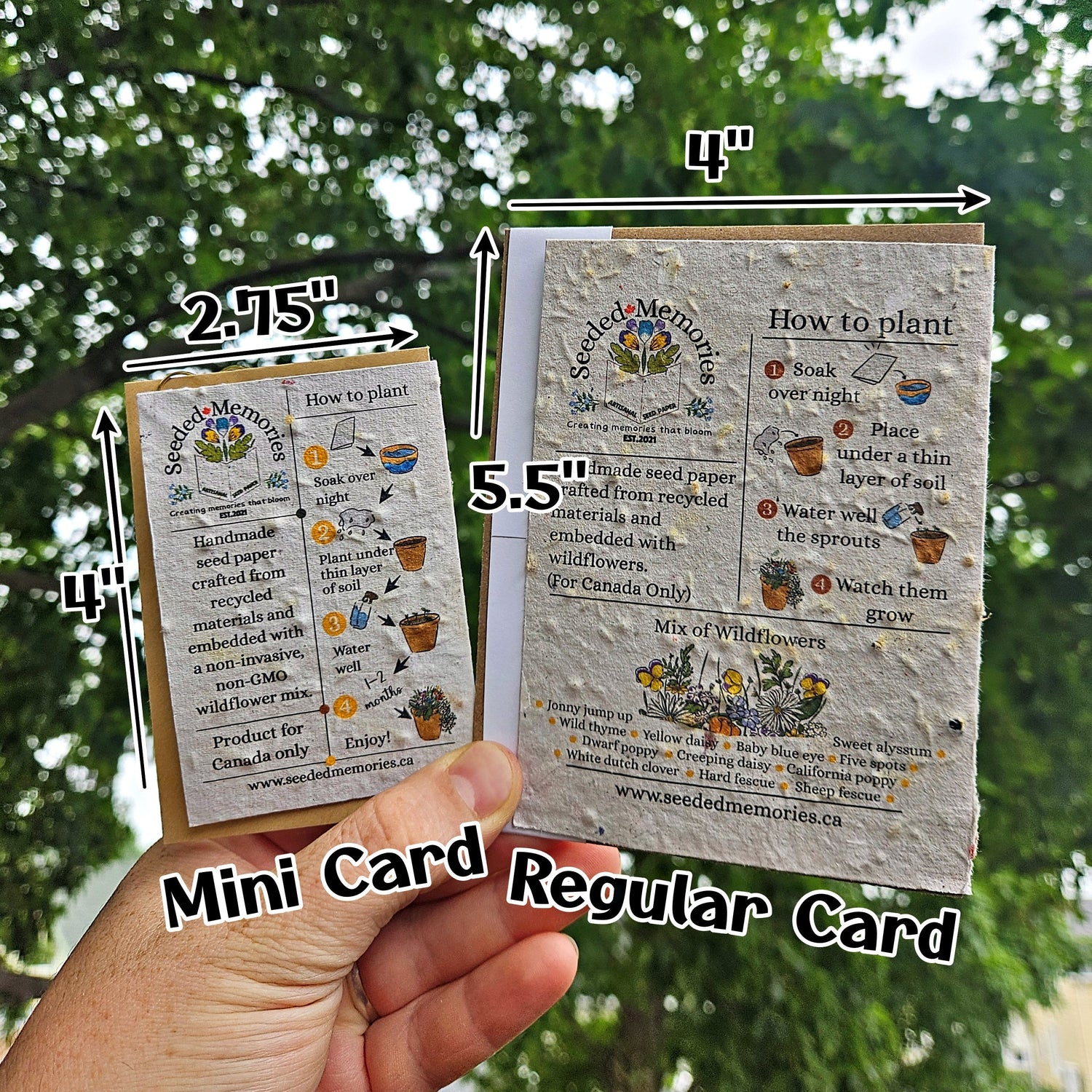 Mini Card - Silly Goose