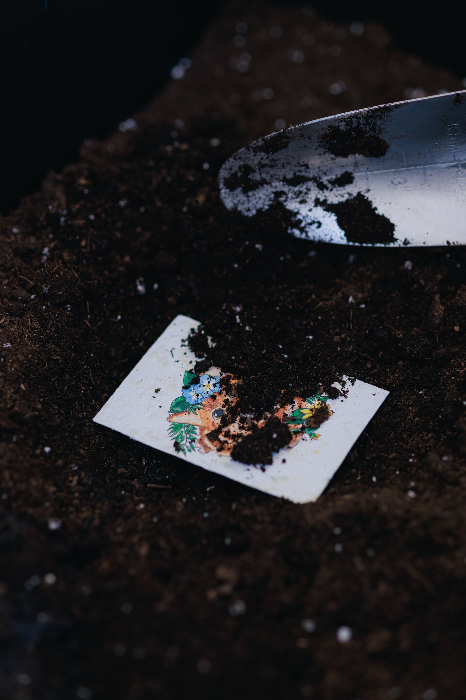 Mini Card - Summer Terrarium