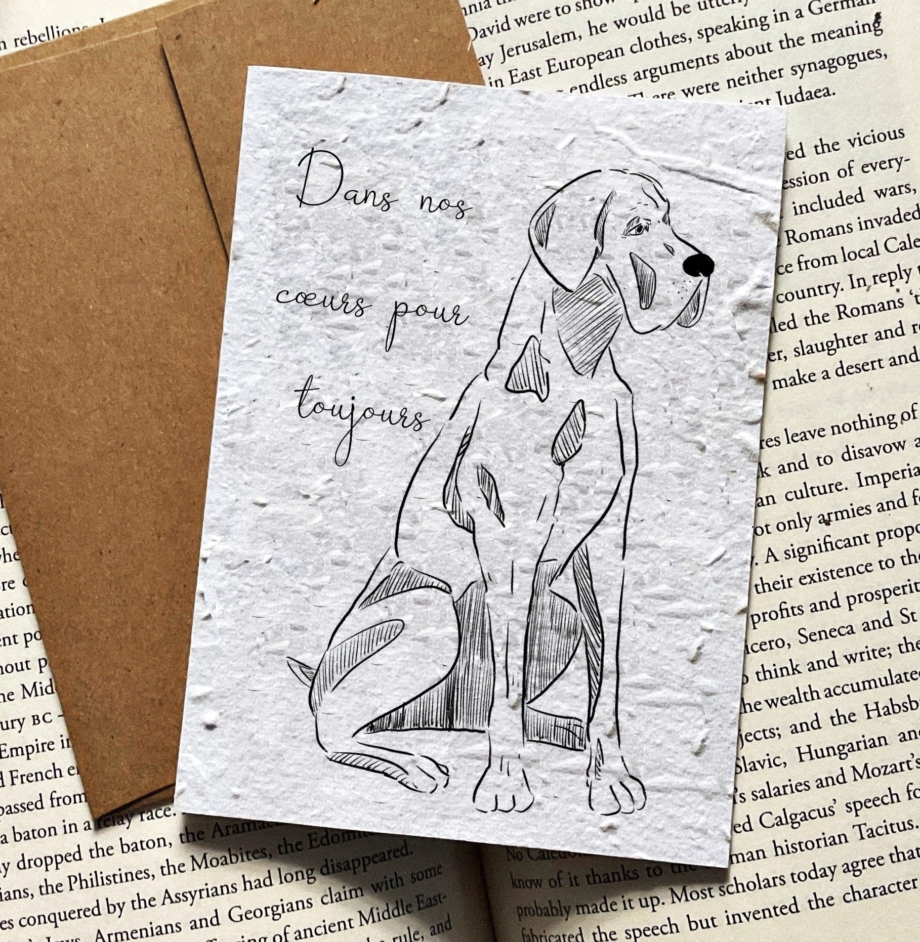 Dog Sympathy Card - Always in Our Hearts