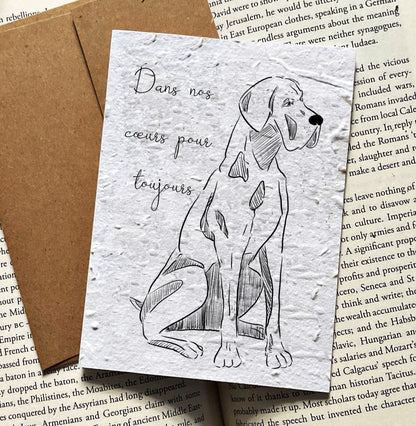Dog Sympathy Card - Always in Our Hearts