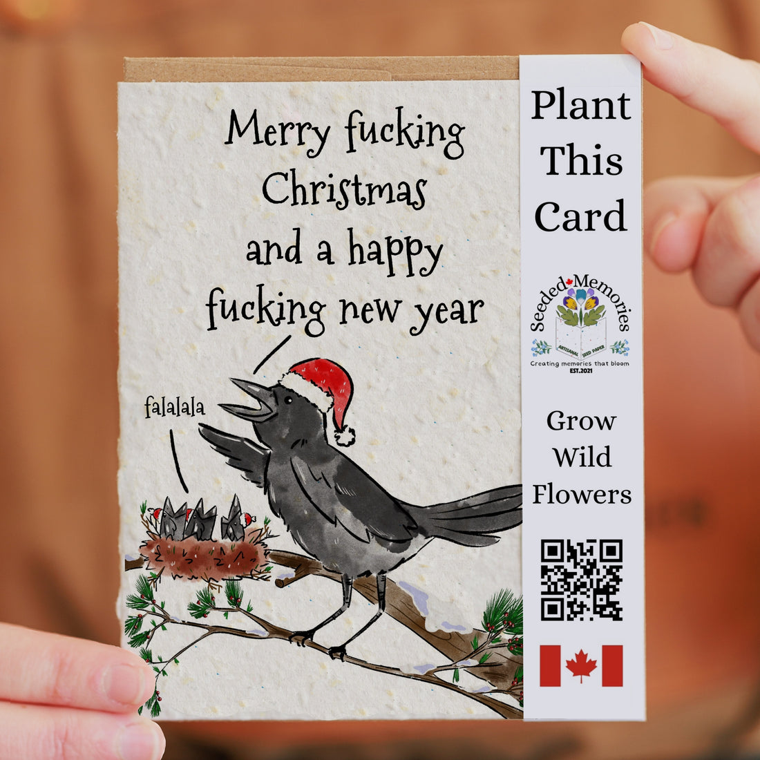 Christmas - Merry Christmas and a happy Fucking new year