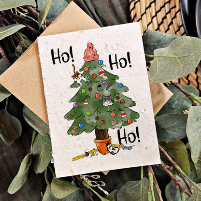 Christmas - Ho ho ho!
