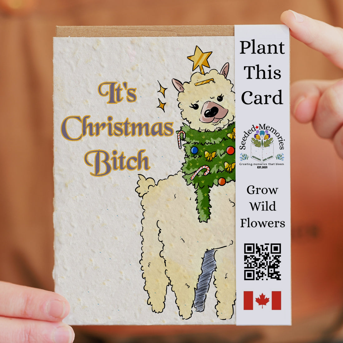 Christmas - It&