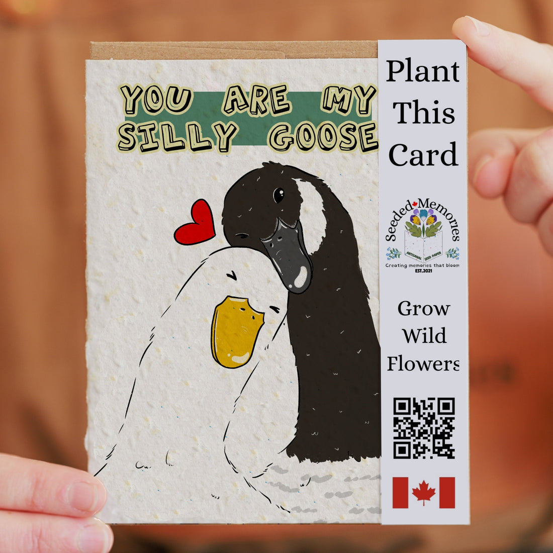 Love - My Silly Goose