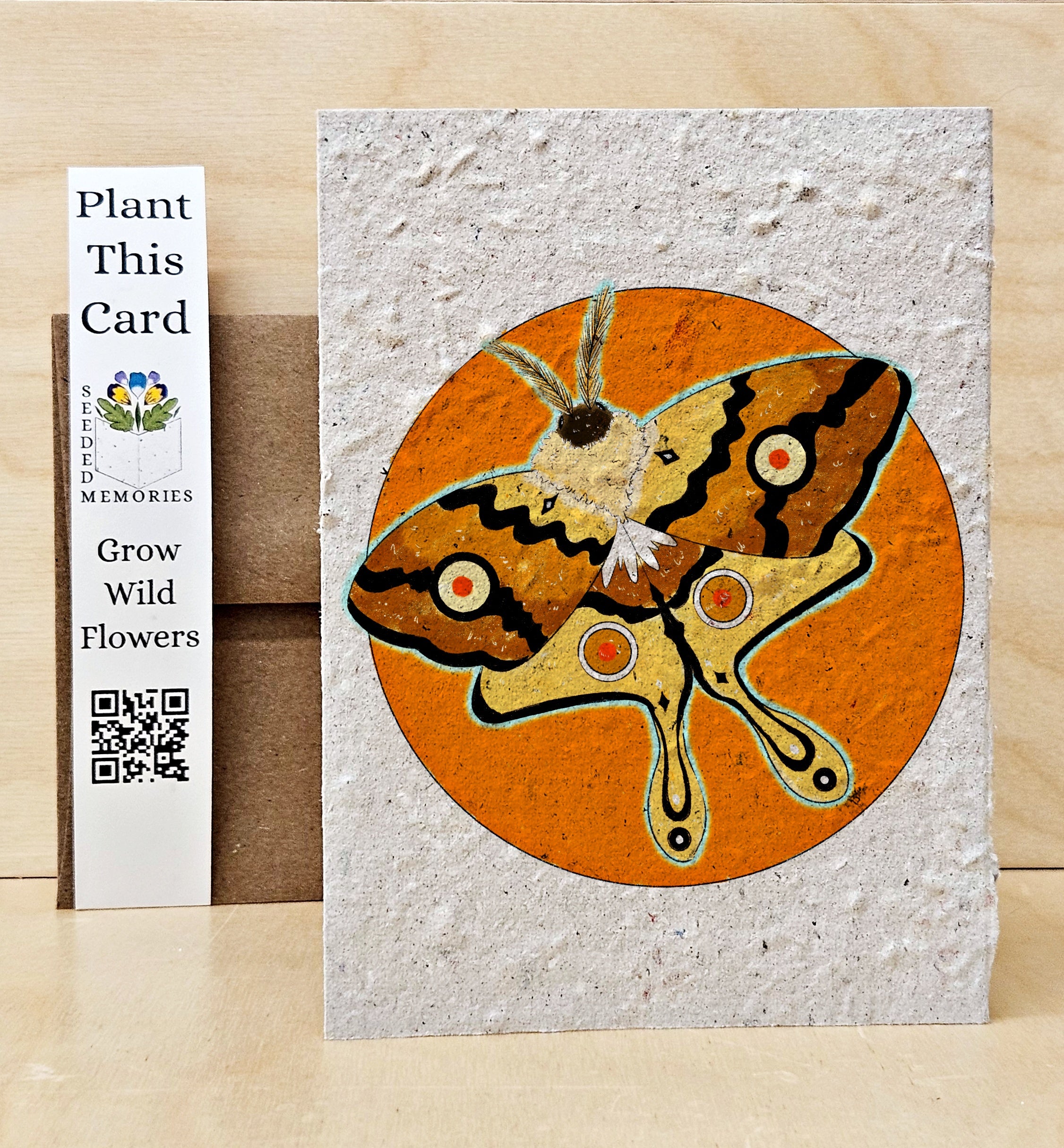 The Moth and the Sun - Nature Card