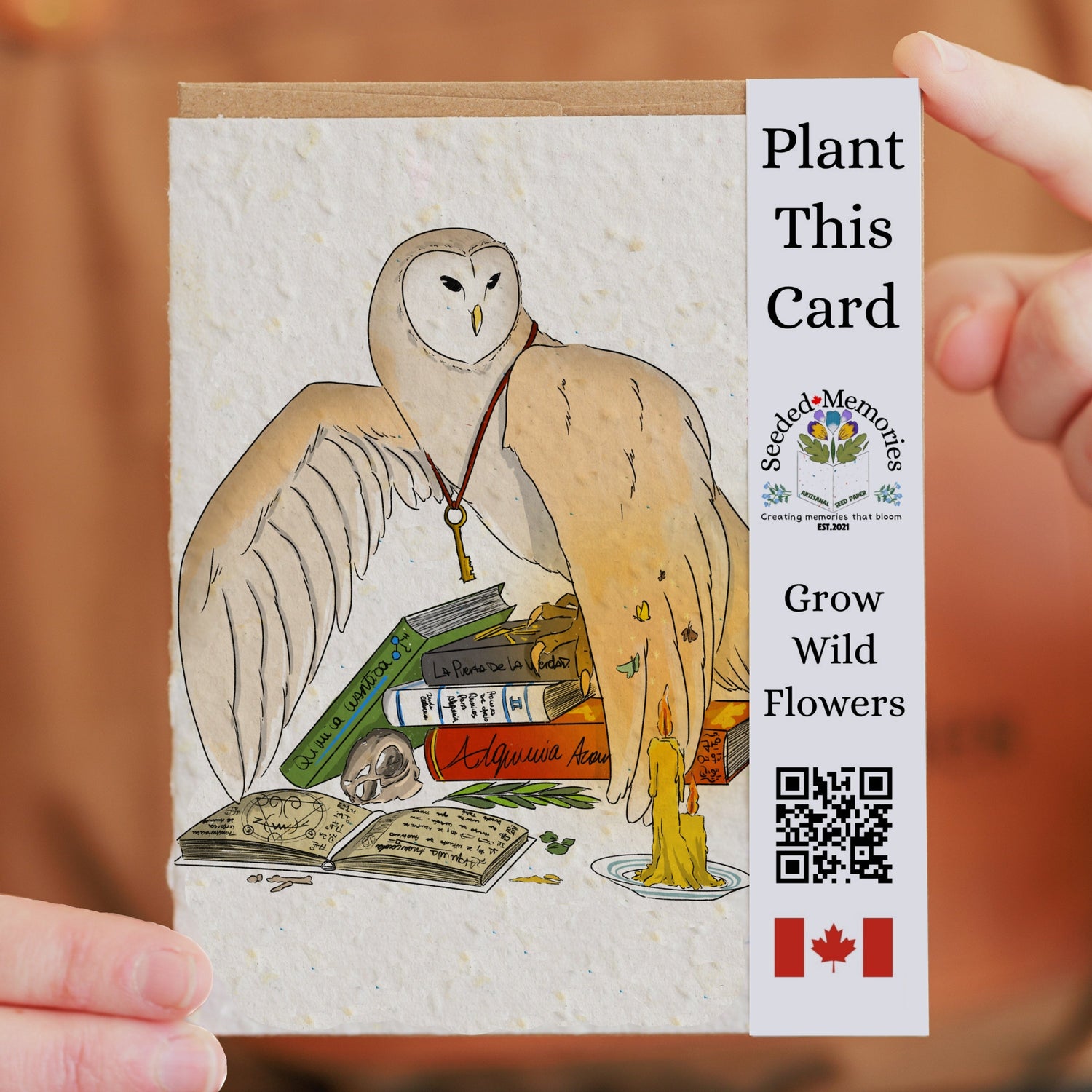 Nature &amp; Wildlife - The Alchemist Owl