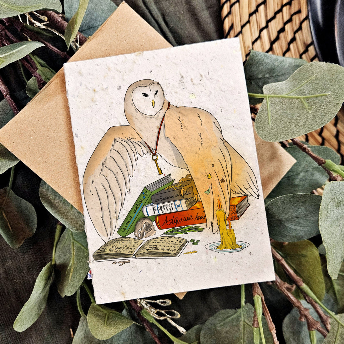 Nature &amp; Wildlife - The Alchemist Owl
