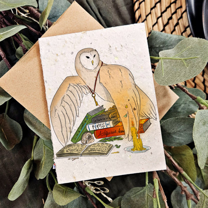 Nature &amp; Wildlife - The Alchemist Owl