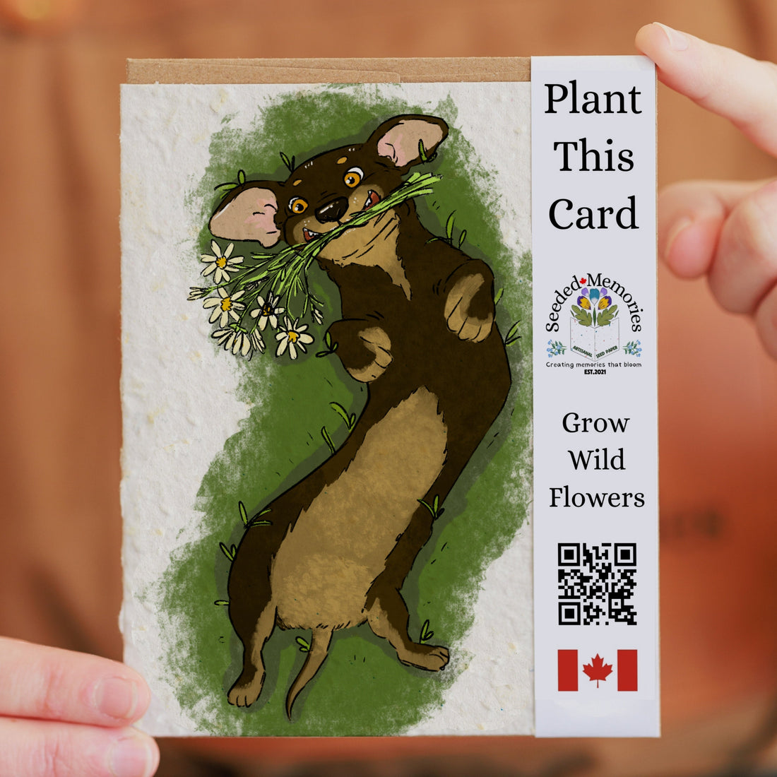 Pets - Rolling wiener Dog