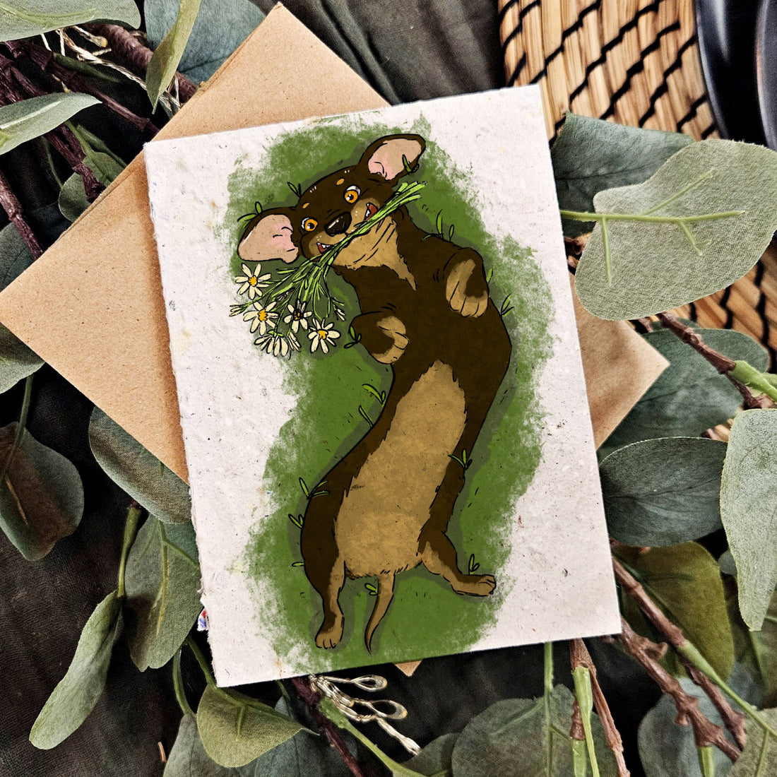 Pets - Rolling wiener Dog