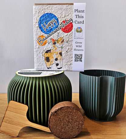 The Grow your own kit!