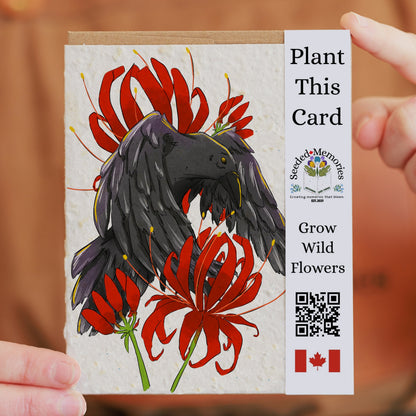 Nature &amp; Wildlife - The Crow