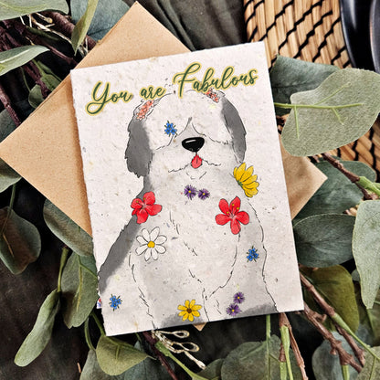 Pets - You are fabulous