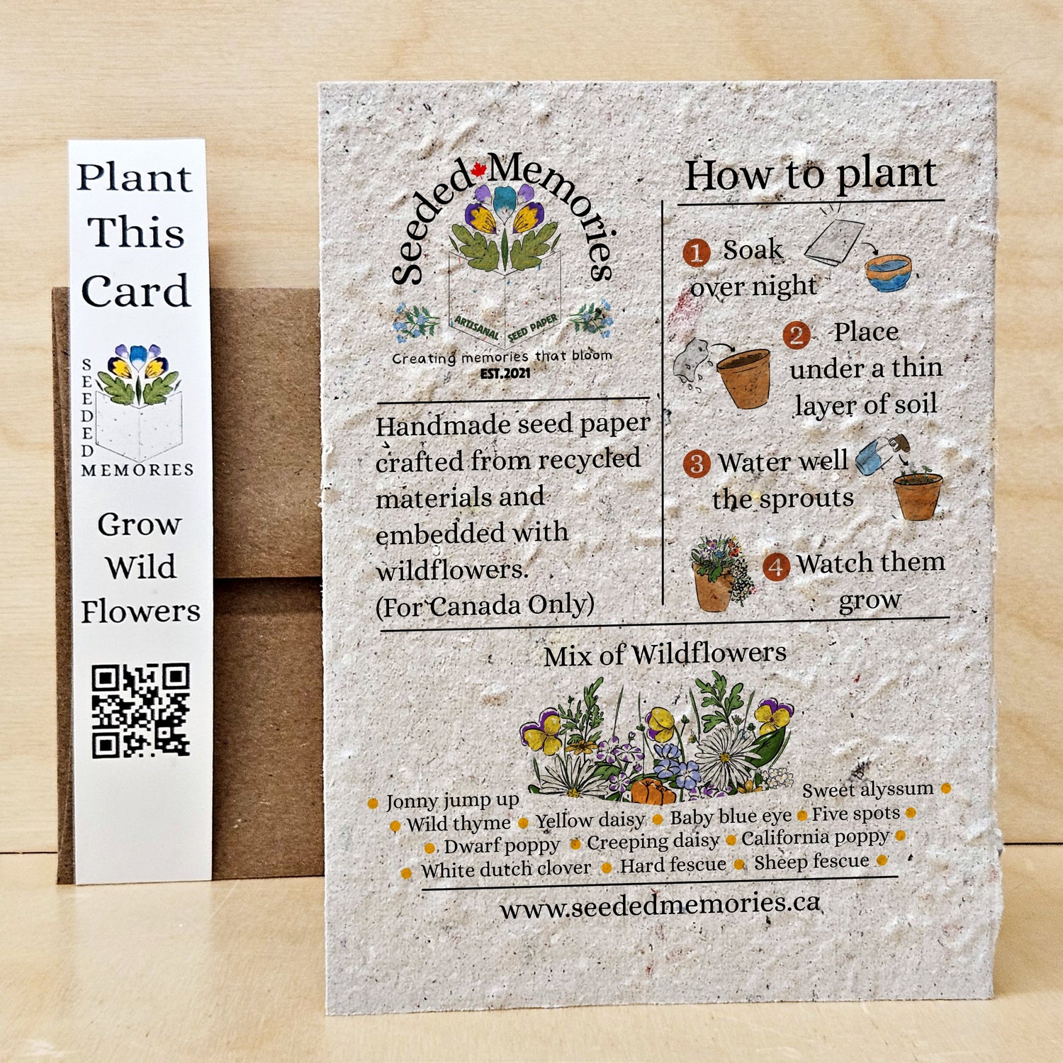 Arnold the Cat Planter - Cat card