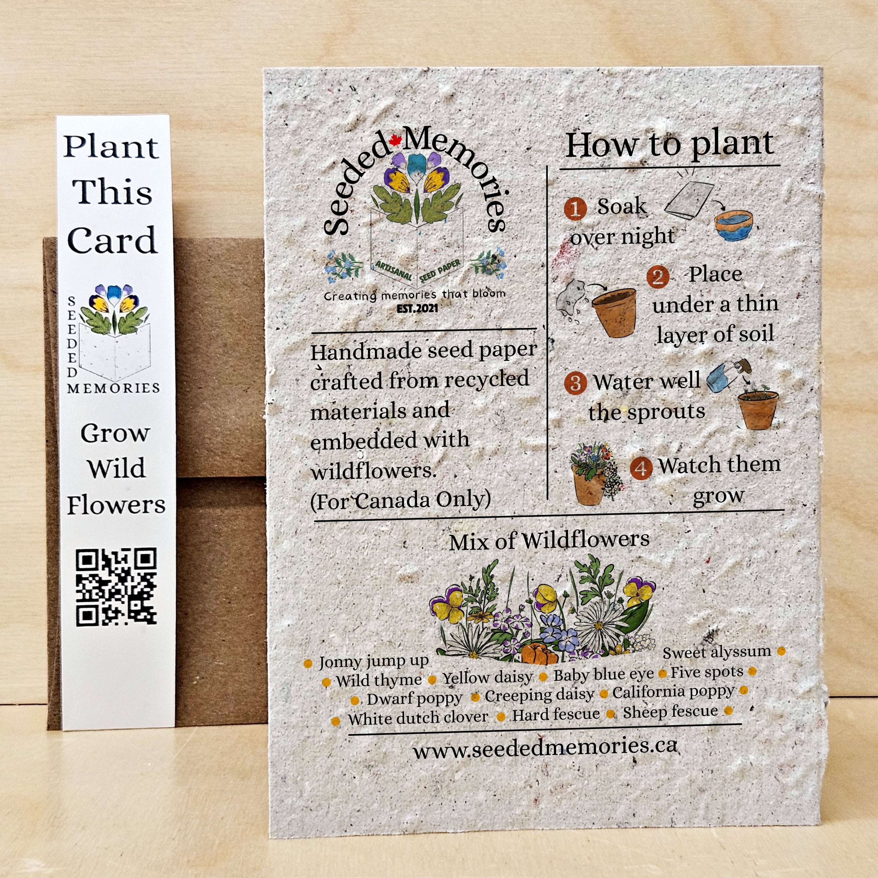Arnold the Cat Planter - Cat card