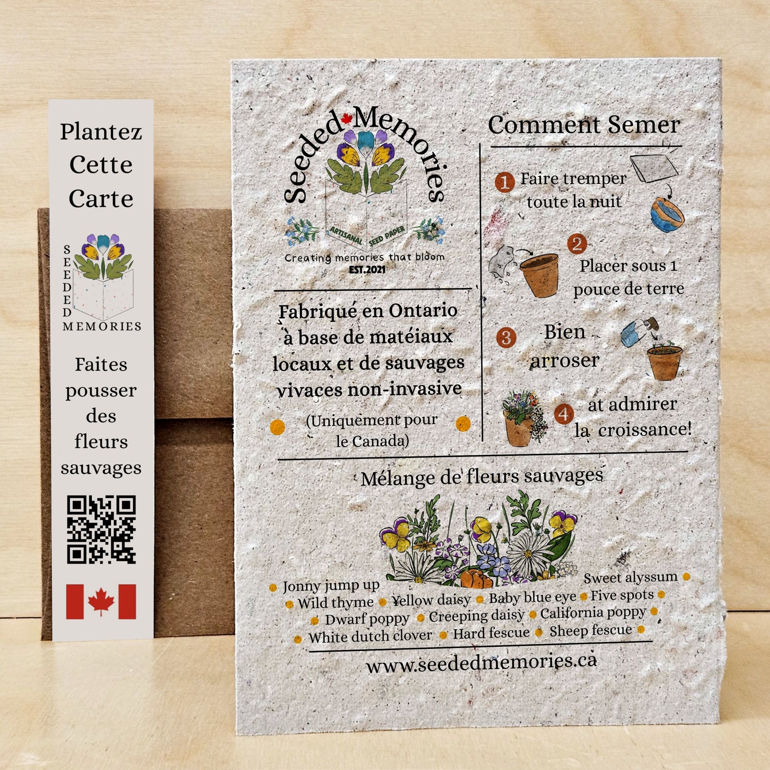Canadian Moose - Nature Card