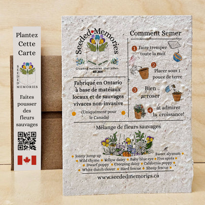 Canadian Moose - Nature Card